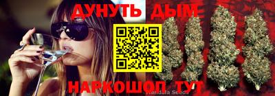 гидра Абинск