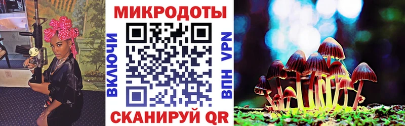купить закладку  Аргун  Галлюциногенные грибы MAGIC MUSHROOMS 