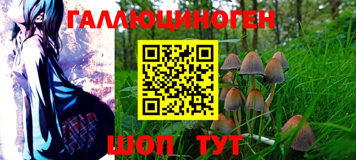 где найти наркотики  Вход с VPN  Аргун  Галлюциногенные грибы мицелий 