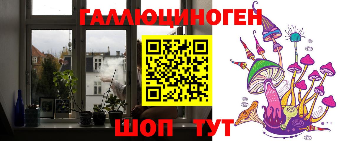 Псилоцибиновые грибы Cubensis Аргун