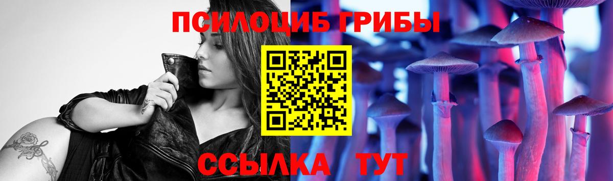 Галлюциногенные грибы мухоморы  Псилоцибиновые грибы Psilocybe  Аргун 